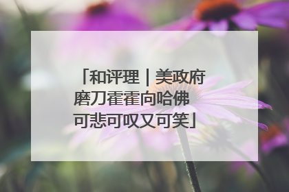 和评理｜美政府磨刀霍霍向哈佛 可悲可叹又可笑