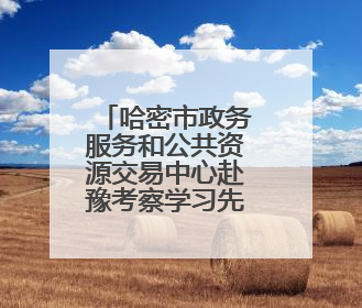 哈密市政务服务和公共资源交易中心赴豫考察学习先进经验
