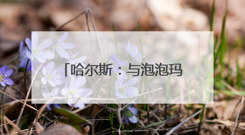 哈尔斯：与泡泡玛特的合作已终止