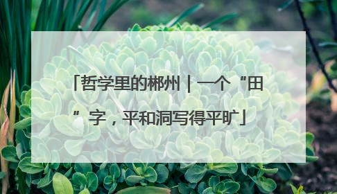 哲学里的郴州｜一个“田”字，平和洞写得平旷