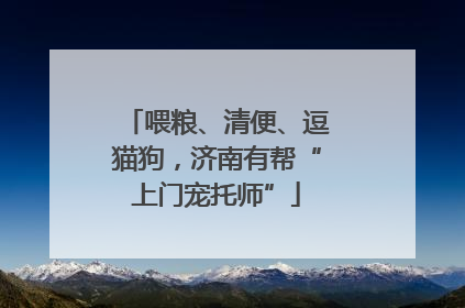 喂粮、清便、逗猫狗，济南有帮“上门宠托师”