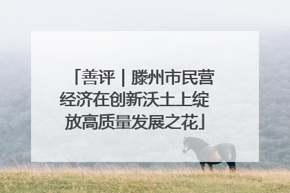 善评｜滕州市民营经济在创新沃土上绽放高质量发展之花