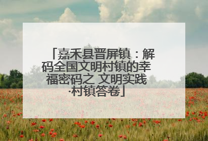 嘉禾县晋屏镇：解码全国文明村镇的幸福密码之 文明实践·村镇答卷