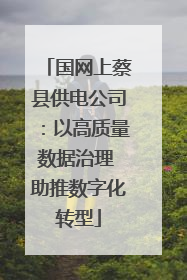 国网上蔡县供电公司：以高质量数据治理 助推数字化转型