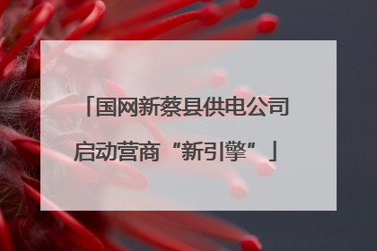 国网新蔡县供电公司启动营商“新引擎”