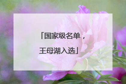 国家级名单，王母湖入选