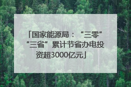 国家能源局：“三零”“三省”累计节省办电投资超3000亿元