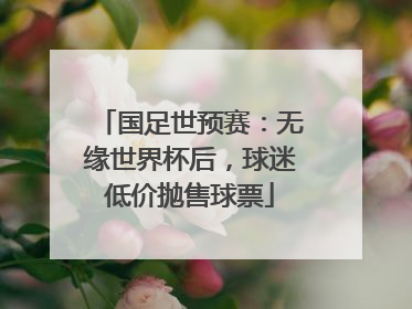 国足世预赛：无缘世界杯后，球迷低价抛售球票