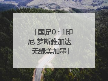 国足0∶1印尼 梦断雅加达 无缘美加墨