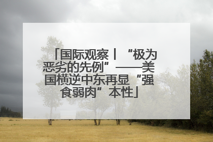 国际观察丨“极为恶劣的先例”——美国横逆中东再显“强食弱肉”本性