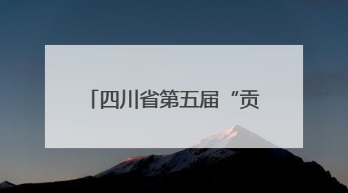 四川省第五届“贡嘎杯”青少年校园足球联赛总决赛（高中组）火热开赛