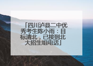 四川泸县二中优秀考生陈小雨：目标清北，已接到北大招生组电话