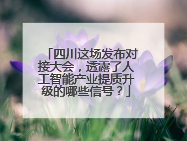 四川这场发布对接大会，透露了人工智能产业提质升级的哪些信号？