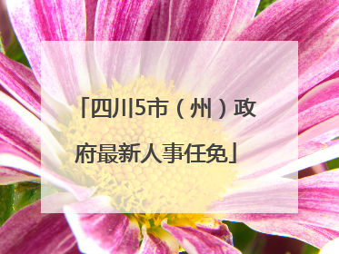 四川5市（州）政府最新人事任免