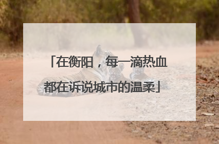 在衡阳，每一滴热血都在诉说城市的温柔