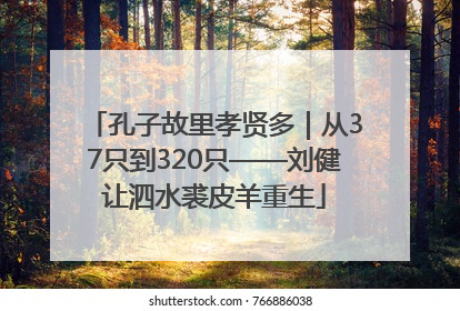 孔子故里孝贤多｜从37只到320只——刘健让泗水裘皮羊重生