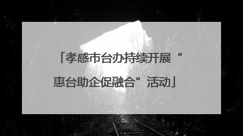孝感市台办持续开展“惠台助企促融合”活动