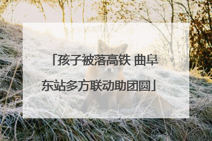 孩子被落高铁 曲阜东站多方联动助团圆
