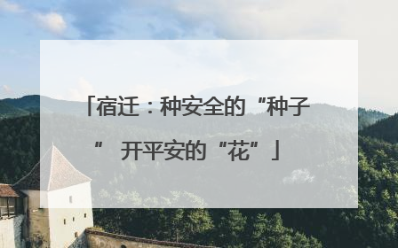 宿迁：种安全的“种子” 开平安的“花”