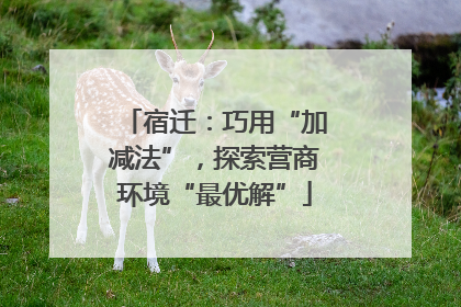 宿迁：巧用“加减法”，探索营商环境“最优解”