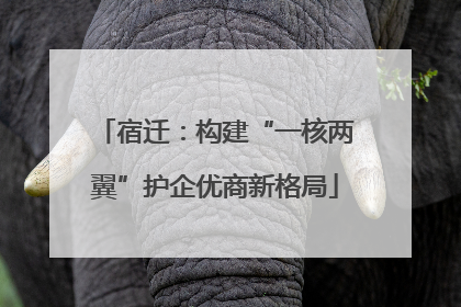 宿迁：构建“一核两翼”护企优商新格局
