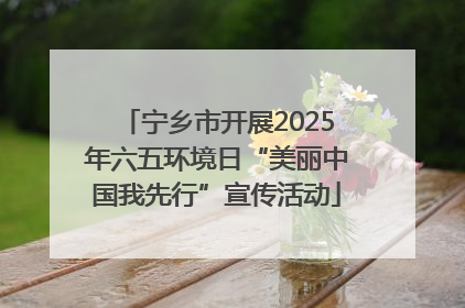 宁乡市开展2025年六五环境日“美丽中国我先行”宣传活动