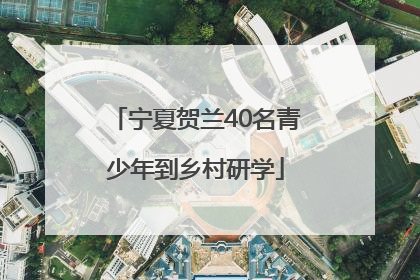 宁夏贺兰40名青少年到乡村研学