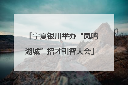 宁夏银川举办“凤鸣湖城”招才引智大会