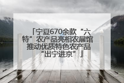 宁夏670余款“六特”农产品亮相农展馆 推动优质特色农产品“出宁进京”