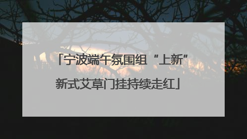 宁波端午氛围组“上新” 新式艾草门挂持续走红