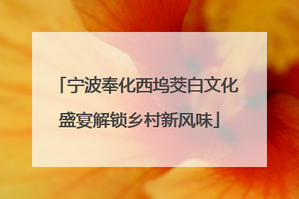 宁波奉化西坞茭白文化盛宴解锁乡村新风味