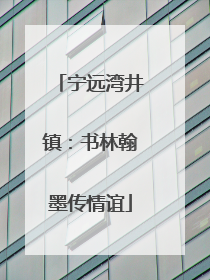 宁远湾井镇：书林翰墨传情谊