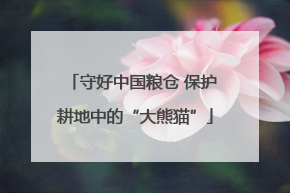 守好中国粮仓 保护耕地中的“大熊猫”
