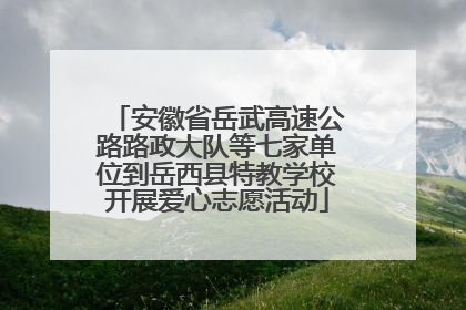 安徽省岳武高速公路路政大队等七家单位到岳西县特教学校开展爱心志愿活动