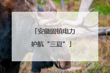 安徽固镇电力护航“三夏”