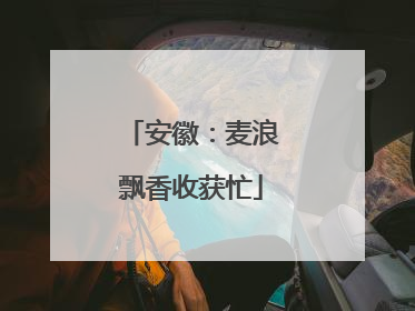 安徽：麦浪飘香收获忙