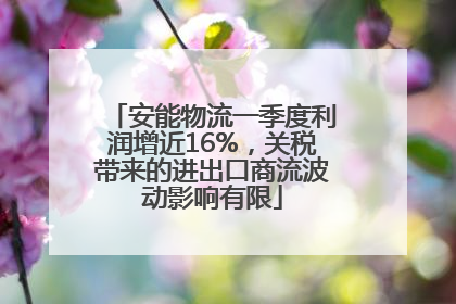 安能物流一季度利润增近16%，关税带来的进出口商流波动影响有限