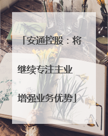安通控股：将继续专注主业 增强业务优势