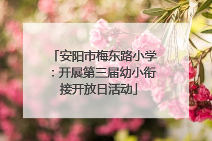 安阳市梅东路小学：开展第三届幼小衔接开放日活动