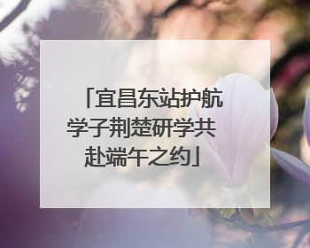 宜昌东站护航学子荆楚研学共赴端午之约