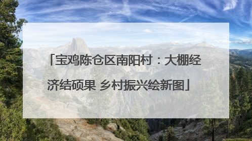 宝鸡陈仓区南阳村：大棚经济结硕果 乡村振兴绘新图
