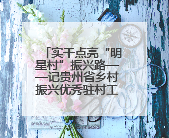 实干点亮“明星村”振兴路——记贵州省乡村振兴优秀驻村工作队员王培欢