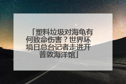 塑料垃圾对海龟有何致命伤害？世界环境日总台记者走进开普敦海洋馆