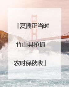 夏播正当时 竹山县抢抓农时保秋收