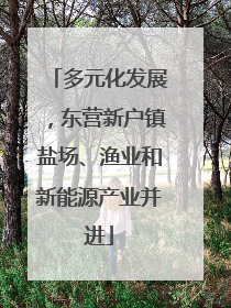 多元化发展，东营新户镇盐场、渔业和新能源产业并进
