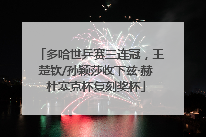 多哈世乒赛三连冠，王楚钦/孙颖莎收下兹·赫杜塞克杯复刻奖杯