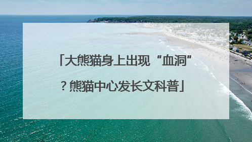 大熊猫身上出现“血洞”？熊猫中心发长文科普