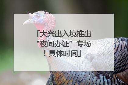 大兴出入境推出“夜间办证”专场！具体时间