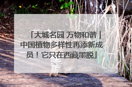 大城名园 万物和谐｜中国植物多样性再添新成员！它只在西藏墨脱