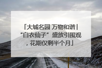 大城名园 万物和谐│“白衣仙子”盛放引围观，花期仅剩半个月